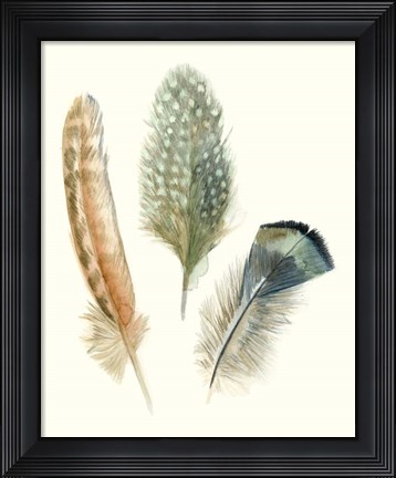 Framed Watercolor Feathers I Print