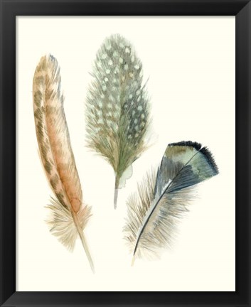 Framed Watercolor Feathers I Print