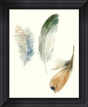 Framed Watercolor Feathers II Print