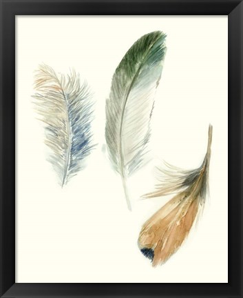 Framed Watercolor Feathers II Print