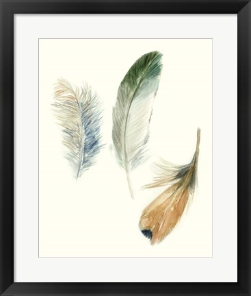 Framed Watercolor Feathers II Print