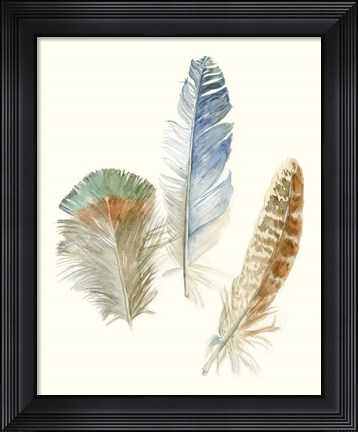 Framed Watercolor Feathers III Print