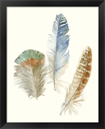 Framed Watercolor Feathers III Print