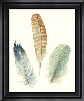 Framed Watercolor Feathers IV Print