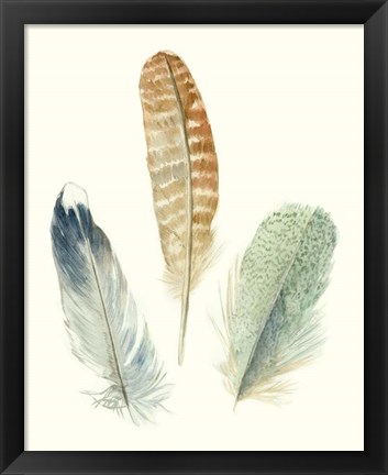 Framed Watercolor Feathers IV Print