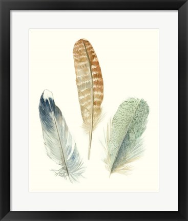 Framed Watercolor Feathers IV Print