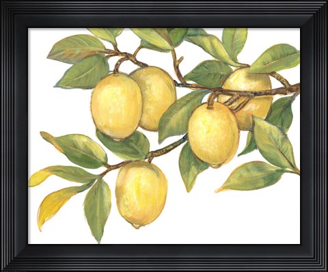 Framed Ripe for Picking I Print