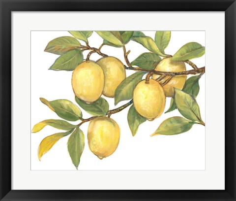 Framed Ripe for Picking I Print