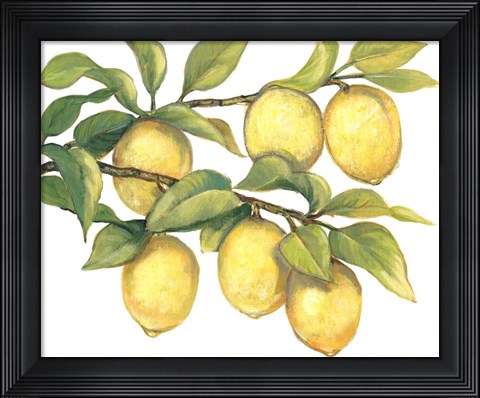 Framed Ripe for Picking II Print