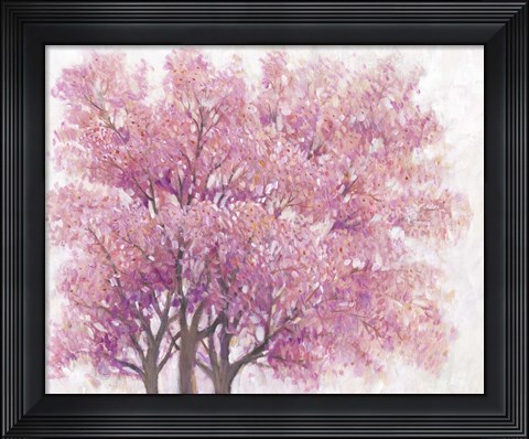 Framed Pink Cherry Blossom Tree I Print