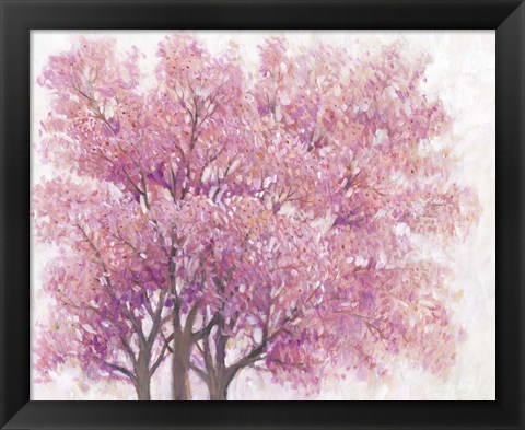 Framed Pink Cherry Blossom Tree I Print