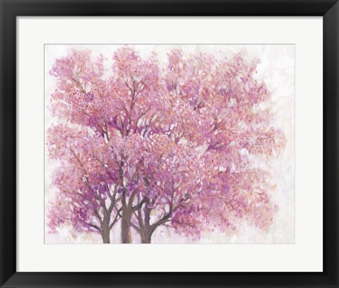 Framed Pink Cherry Blossom Tree I Print