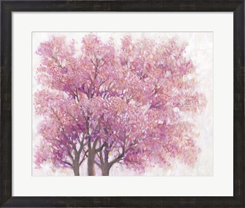 Framed Pink Cherry Blossom Tree I Print