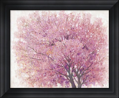 Framed Pink Cherry Blossom Tree II Print