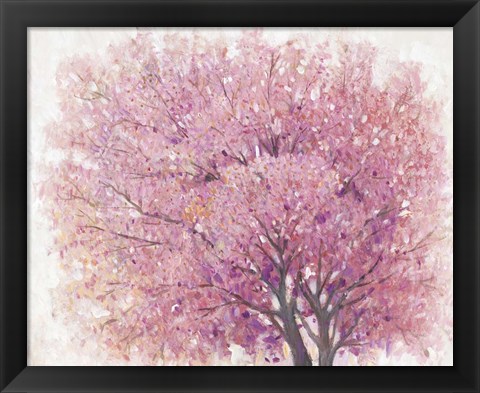 Framed Pink Cherry Blossom Tree II Print