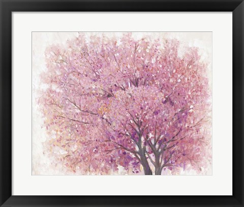 Framed Pink Cherry Blossom Tree II Print