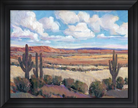 Framed Desert Heat I Print