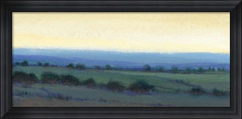 Framed Morning Dew II Print
