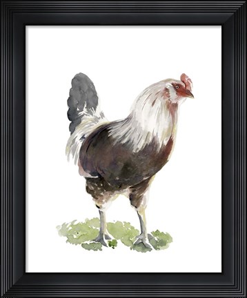 Framed Chicken Dance I Print