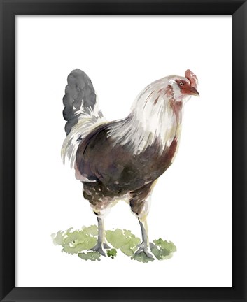 Framed Chicken Dance I Print