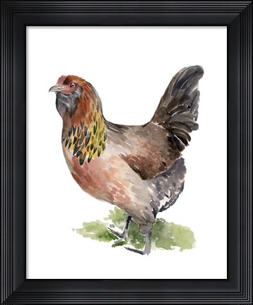 Framed Chicken Dance II Print