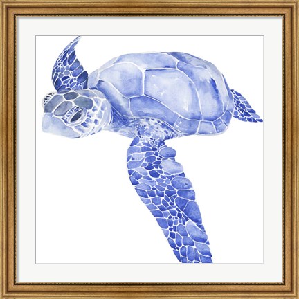 Framed Ultramarine Sea Turtle I Print