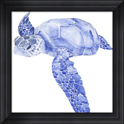 Framed Ultramarine Sea Turtle I Print