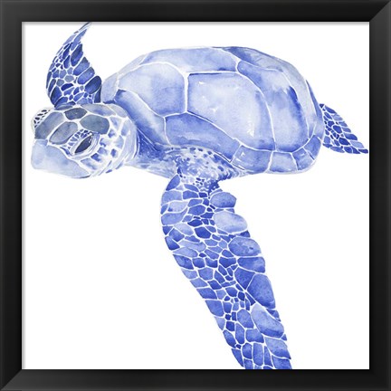 Framed Ultramarine Sea Turtle I Print