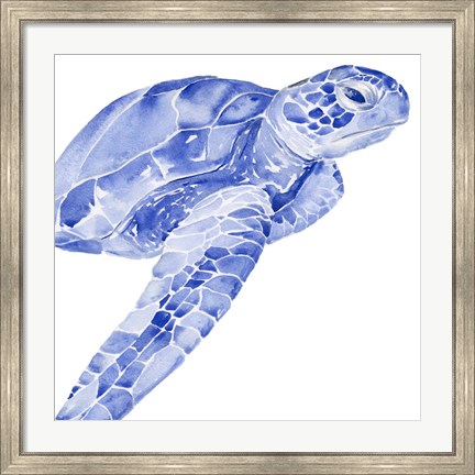 Framed Ultramarine Sea Turtle II Print