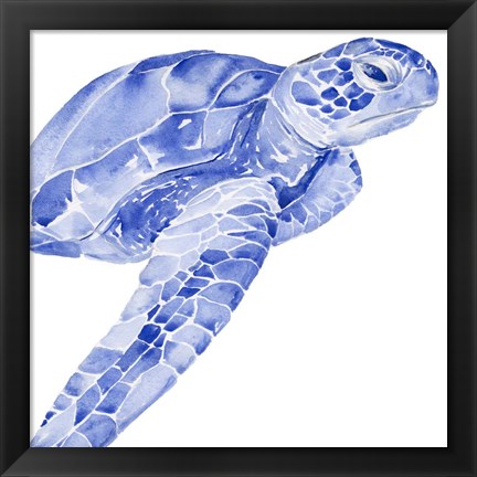 Framed Ultramarine Sea Turtle II Print