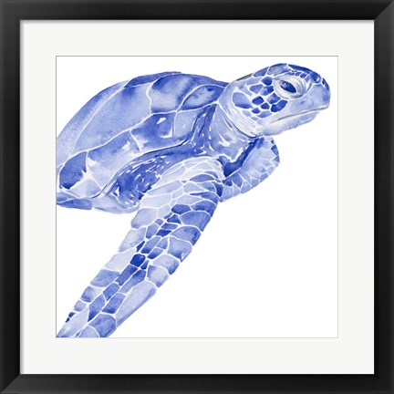 Framed Ultramarine Sea Turtle II Print