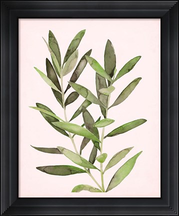 Framed Soft Pink Leaves II Print