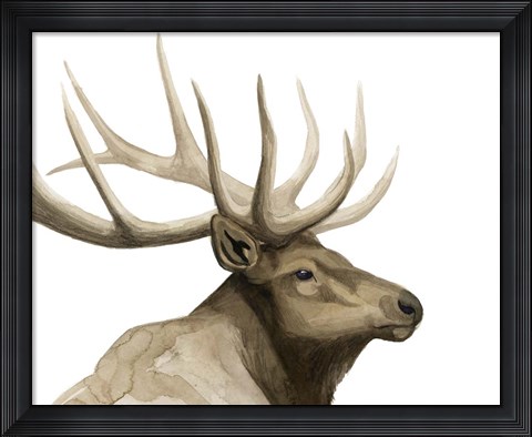 Framed Call of the Elk I Print