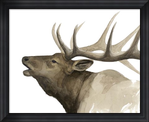 Framed Call of the Elk II Print