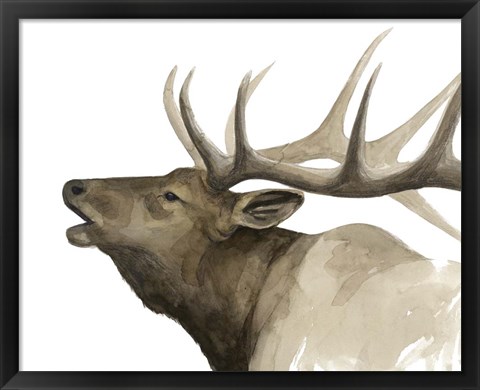 Framed Call of the Elk II Print