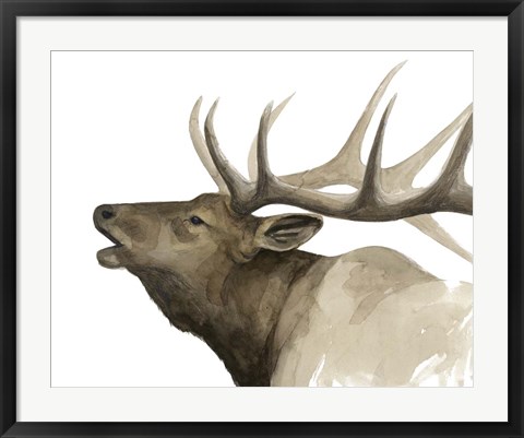 Framed Call of the Elk II Print