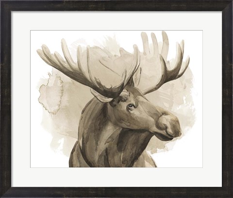 Framed Bull Moose I Print