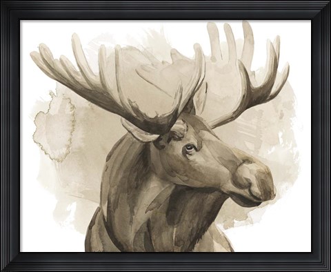 Framed Bull Moose I Print