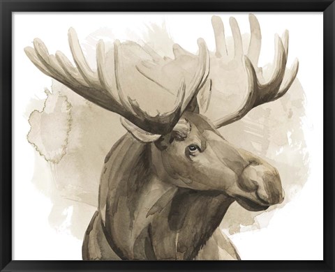 Framed Bull Moose I Print