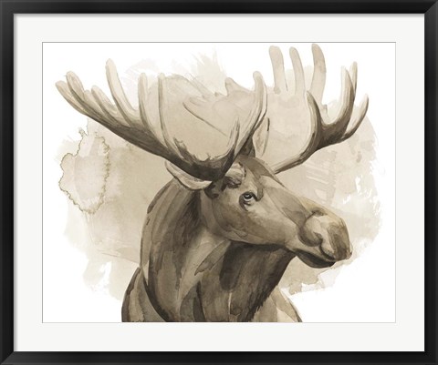 Framed Bull Moose I Print