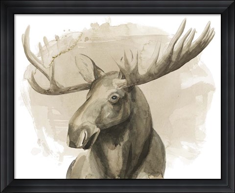 Framed Bull Moose II Print