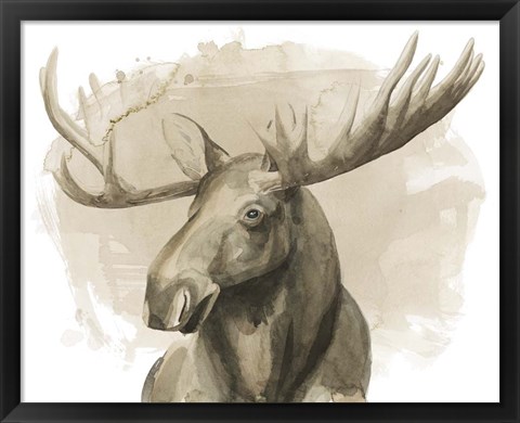 Framed Bull Moose II Print