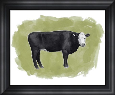 Framed Hereford Graze I Print