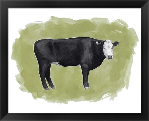 Framed Hereford Graze I Print