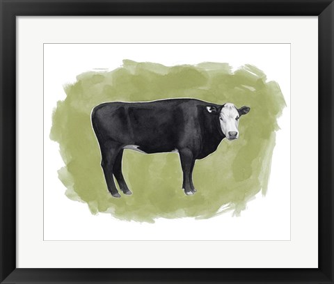 Framed Hereford Graze I Print