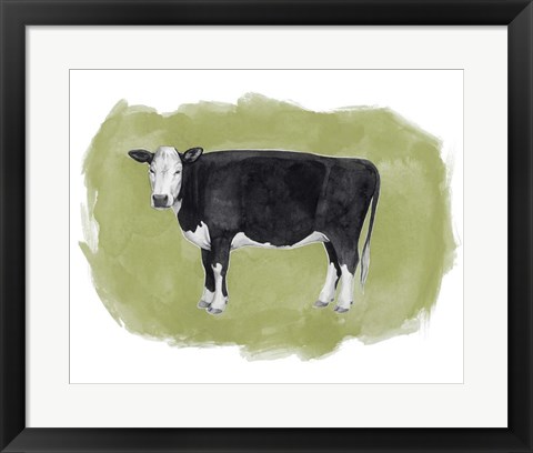 Framed Hereford Graze II Print