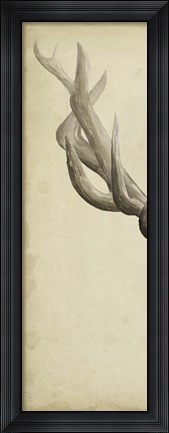 Framed Triptych Elk I Print