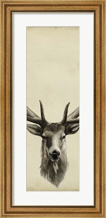 Framed Triptych Elk II Print