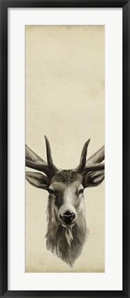 Framed Triptych Elk II Print