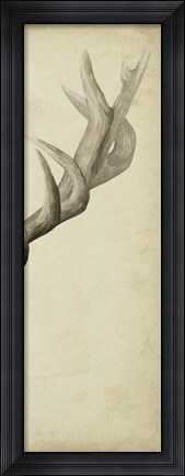 Framed Triptych Elk III Print
